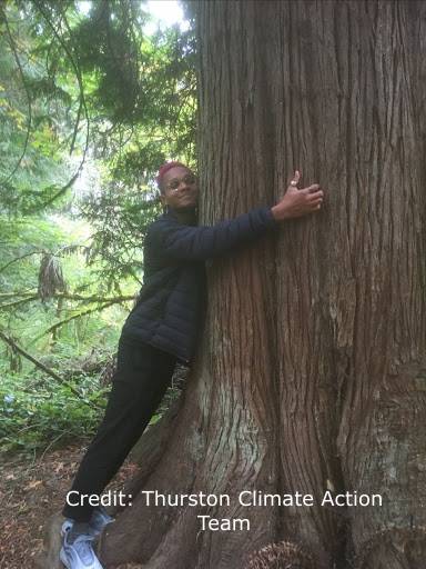 Person hugging an old growth tree