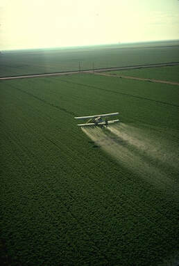 Cropduster spraying pesticides over a green field.