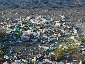 Plastic pollution along riverbank