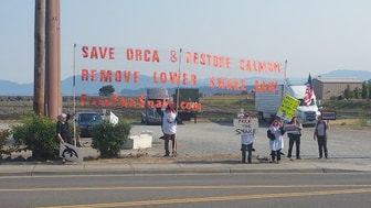 Protesters holding signs to Save Orca & Restore Salmon, Remove lower Snake Dams.