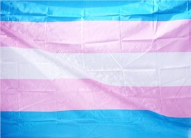 Flag with blue, pink and white stripes supporting Trans people