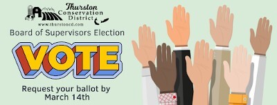 Hands in the air voting
